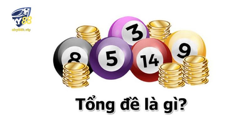 Tổng đề là gì?
