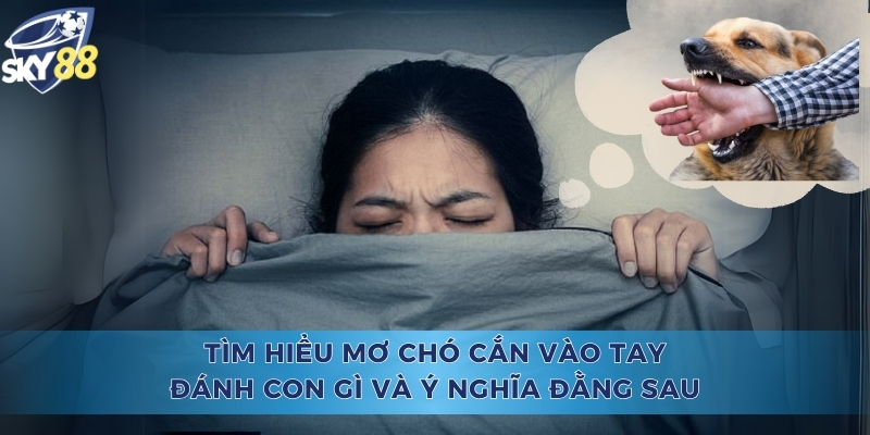 Mơ Chó Cắn Vào Tay Đánh Con Gì
