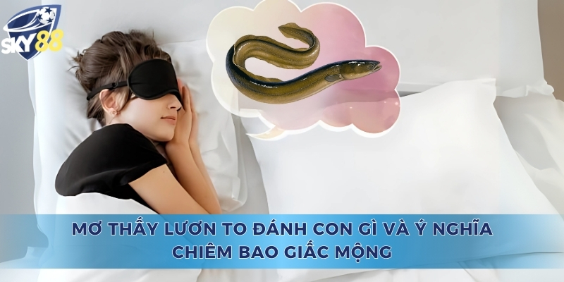 Mơ Thấy Lươn To Đánh Con Gì